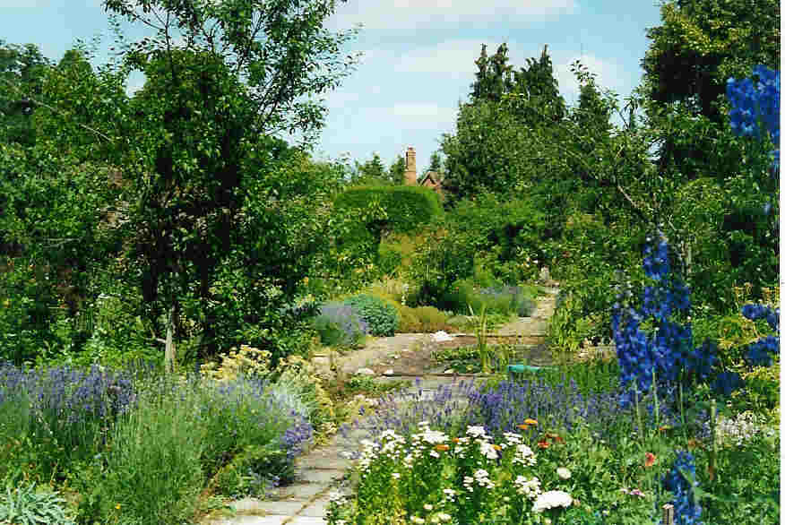 garden