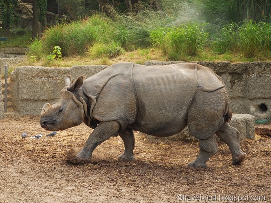 BaselZoo