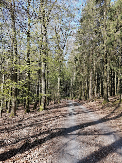 Sauerland wandern Wetter blog Eslohe Homert X22 Kurkölner Weg