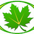 Greenify Donate v3.9.1 Final Apk Terbaru