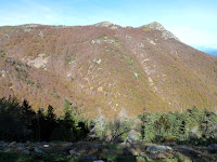 Impresiona los hayedos del macizo del Montseny en la ruta font  de passavents