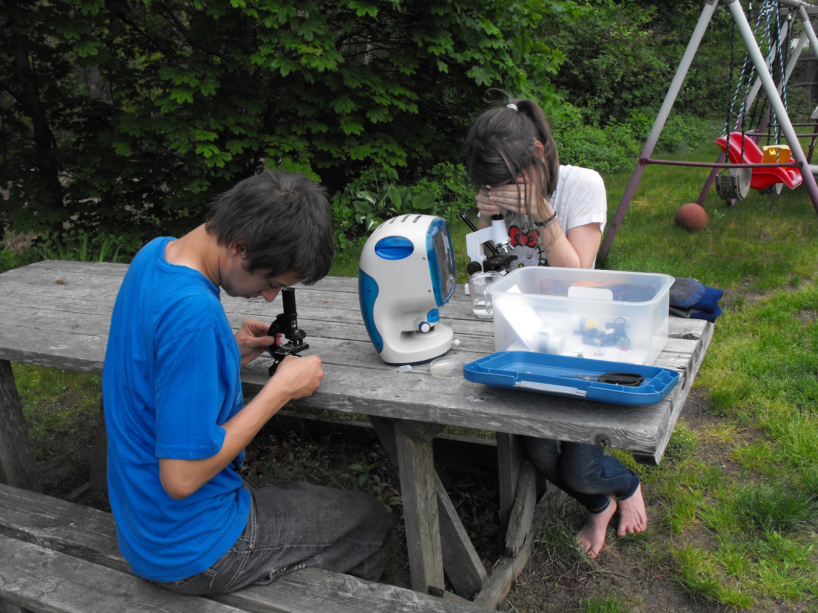 Backyard Science