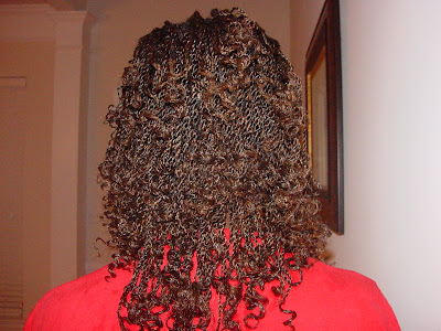 Micro Kinky Twists Kinky Twist