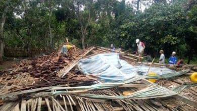 Diterjang Angin Kencang, Kandang Ayam Ambruk dan Tiga Ekor Kambing Tewas