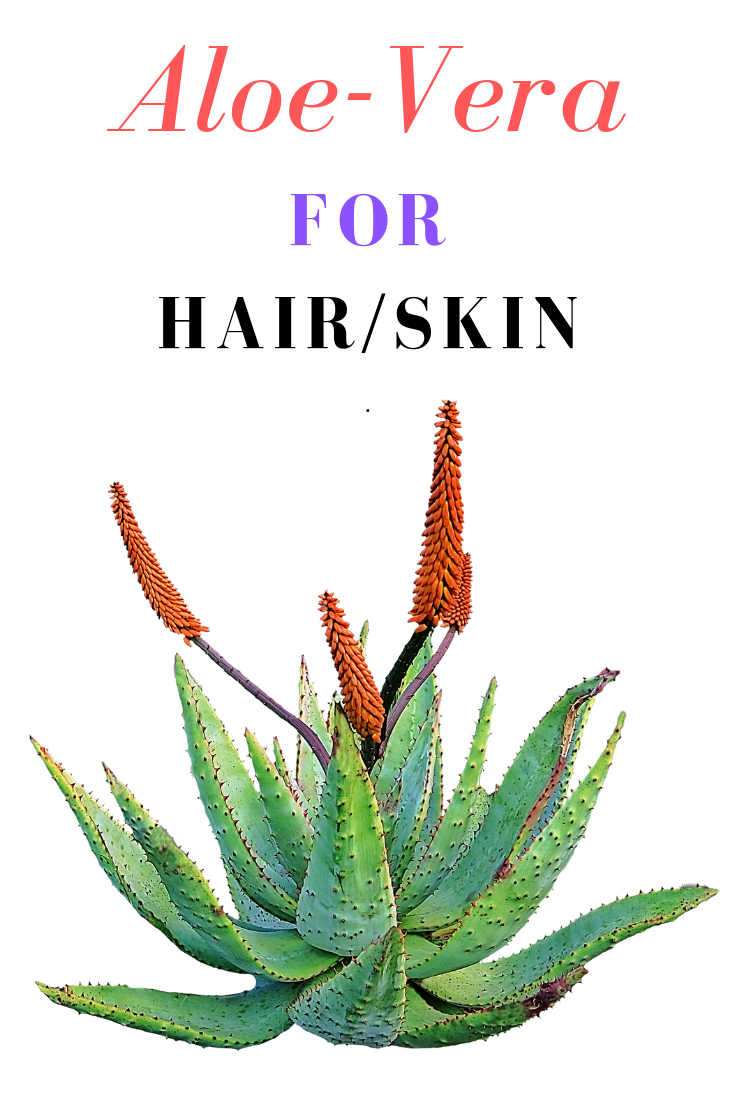 Aloe Vera Benefits Aloe Vera Uses How To Apply Aloe Vera On Hair