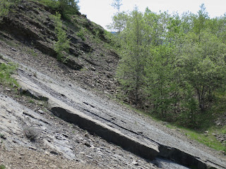 Old Pietra Arenaria quarry (sandstone) Tuscany