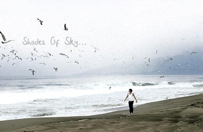 Shades of Sky