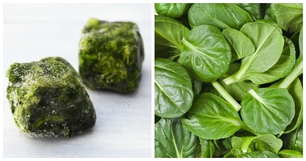 Cubes of frozen spinach and bundle of fresh spinach