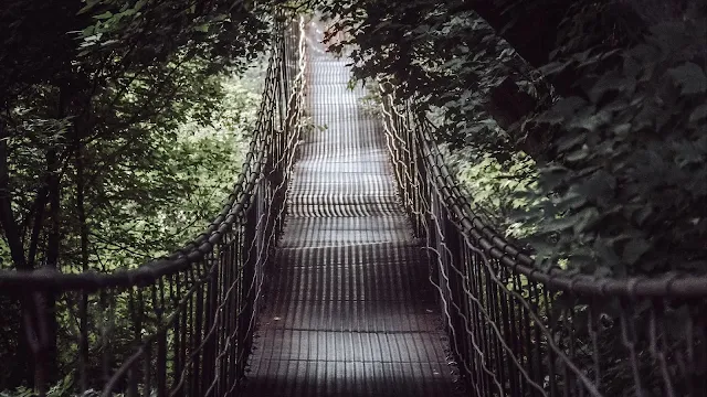 Forest Bridge Desktop And iPhone Wallpaper