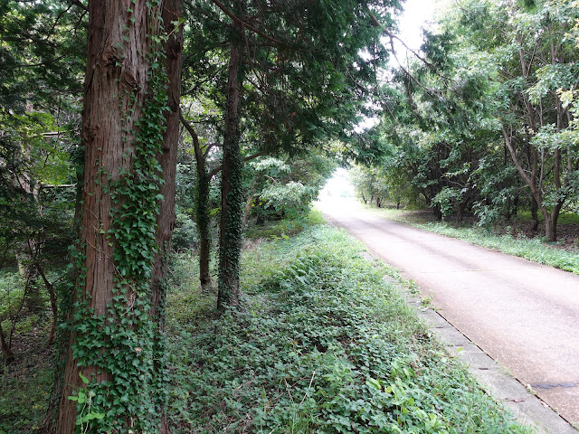 むきばんだ史跡公園の弥生の森