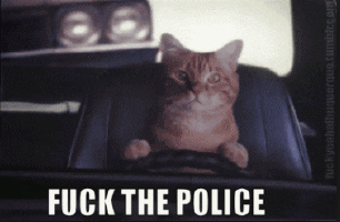 "Fuck The Police!"