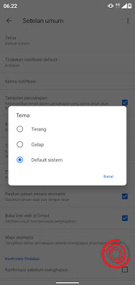 4. Terakhir silakan kalian pilih menggunakan tema Gelap, Terang, atau Default sistem. Jika kalian memilih Default sistem tampilan di aplikasi Gmail akan mengikuti tampilan perangkat