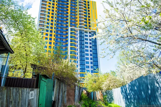 Тропа под цветущей вишней к многоэтажке