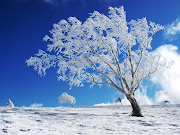 Nature Winter Wallpapers (nature winter wallpapers )