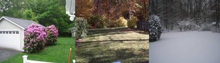 PhilYard