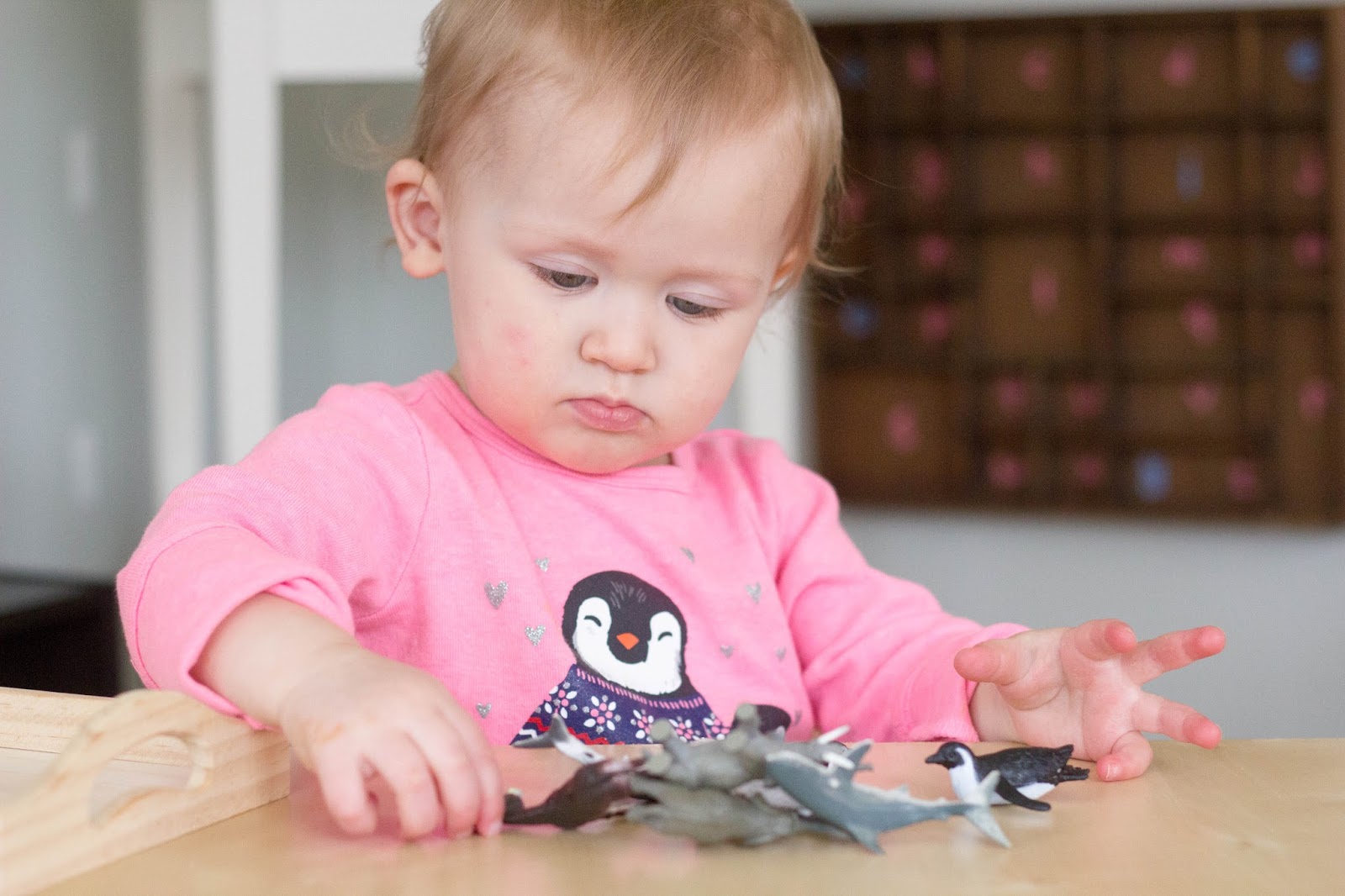 Montessori Toddler Activities A to Z (Part 1)