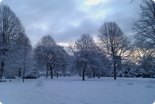 IMAG0674