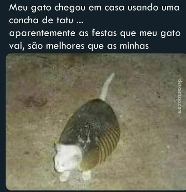 Memes engraçados