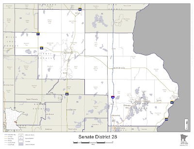 MN Senate District 28