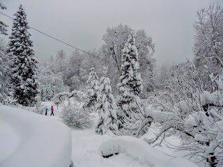 Синяк. Санаторий «Синяк».