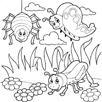 Spider Butterfly and Other Insect Images For Coloring