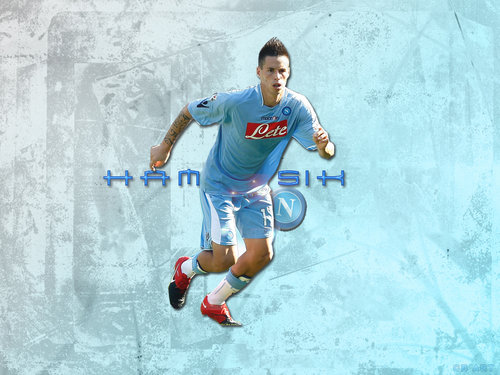 All About Football Players: Marek Hamsik Hd Wallpapers 2012