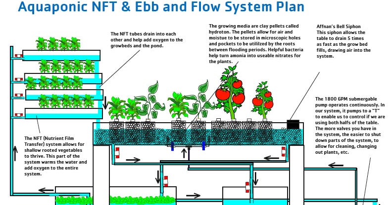 SYS aqua: Fish tank aquaponics diy Learn how