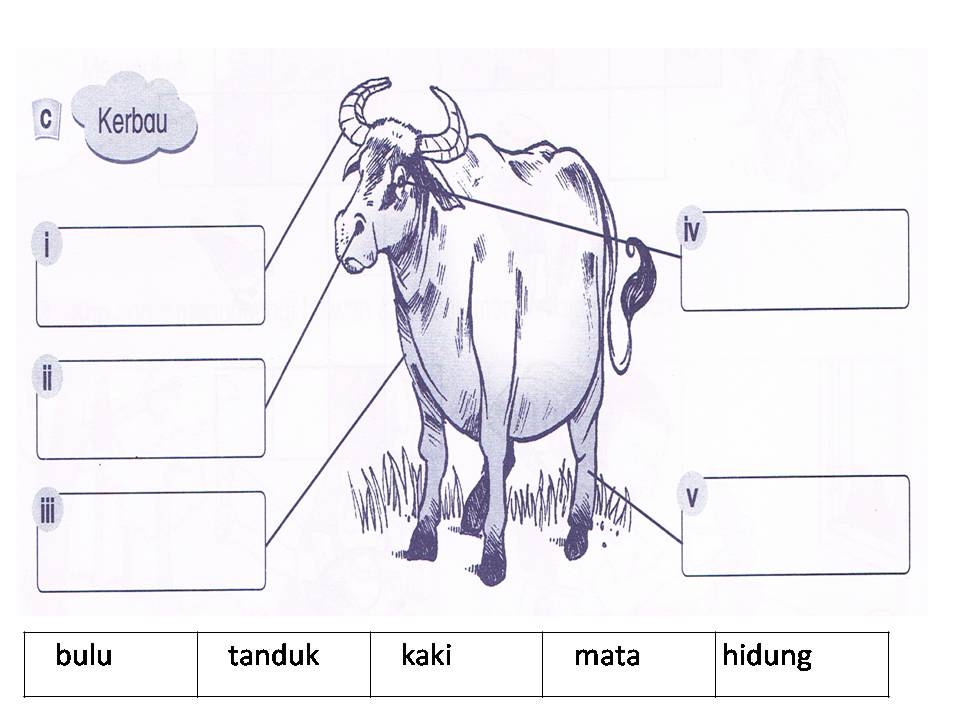 Dunia Sains dan Teknologi Tahun 1 (KSSR): Latihan