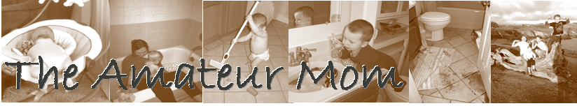 The Amateur Mom