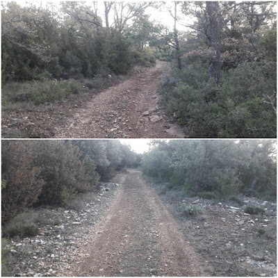 GR-7 ARBOLÍ A MONTRAL, camí a la Plana de la Pona a la Serra de la Mussara