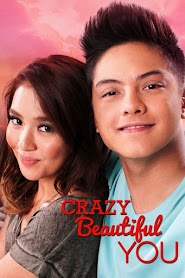 Crazy Beautiful You (2015)