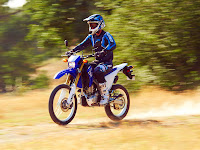 2014 Yamaha WR250R Gambar Motor 1