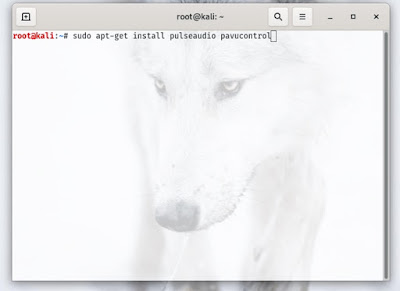 sudo apt-get install pulseaudio pavucontrol