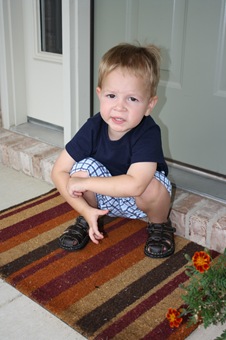 IMG_5223 IMG_5223