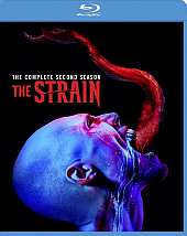 Strain