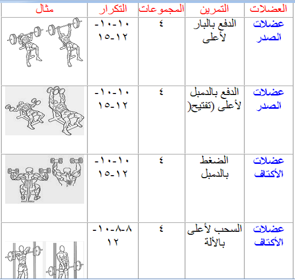 برنامج تدريب جيم للمبتدئين