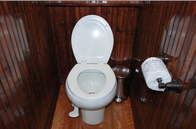 Private Bathroom with Pedal Flush Porcelain Toilet