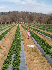P3069815