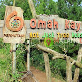 Wisata Omah Kayu Malang, Wisata Menarik Dengan Alam Eksotis Di Batu Malang