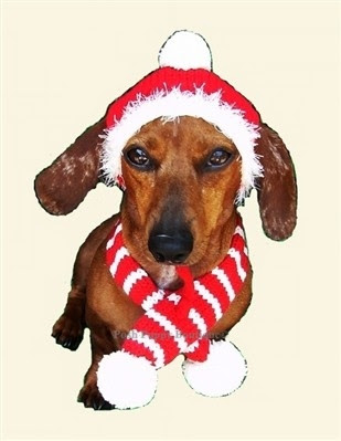 Red Holiday Hat & Candy Cane Scarf Set