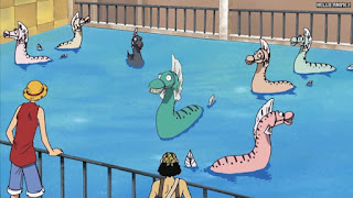 ワンピースアニメ ウォーターセブン編 229話 | ONE PIECE Episode 229 Water 7