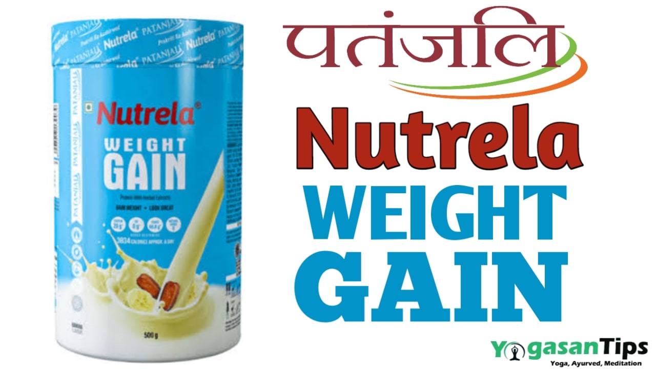 पतंजलि वेट गेन कैप्सूल्स, पतंजलि प्रोटीन पाउडर फॉर वेट loss, पतंजलि प्रोटीन पाउडर फॉर वेट लॉस, वेट गेन प्रोडक्ट, पतंजलि प्रोटीन पाउडर फॉर वेट गेन तस्वीरें, nutrela patanjali weight gainer, nutrela weight gain ingredients, patanjali ayurvedic medicine for weight gain, patanjali nutrela weight gain in hindi, patanjali weight gain products for male, best medicine for weight gain in patanjali, nutrela weight gain patanjali ingredients, nutrela weight gainer price,