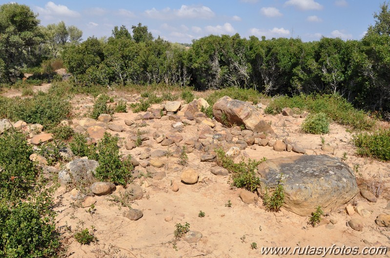 Dolmenes del Celemin