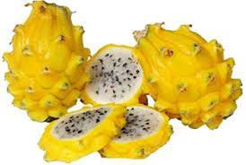 buah naga kuning