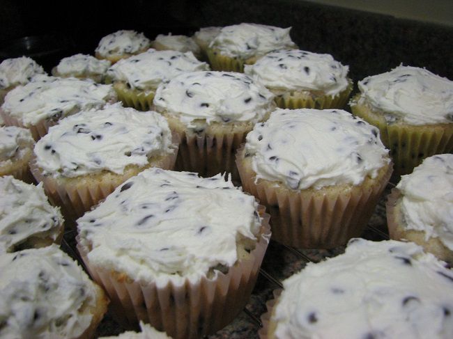 Chocolate Chip Cupcakes with Chocolate Chip Frosting 1