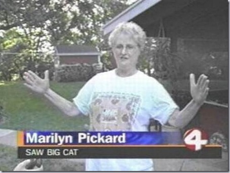 Big Cat