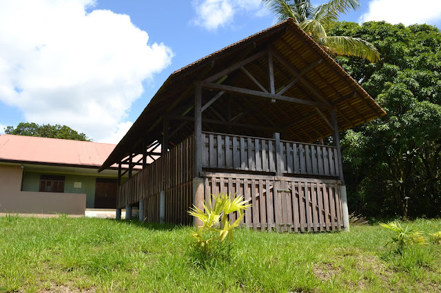 Guyane, Les pripris de yiyi, Sinnamary, Iracoubo, Kourou, observation des oiseaux, maison de la nature, faune et flore de Guyane, randonnée, parcours pédestre Guyane, conservatoire du littoral, SEPENGUY Guyane