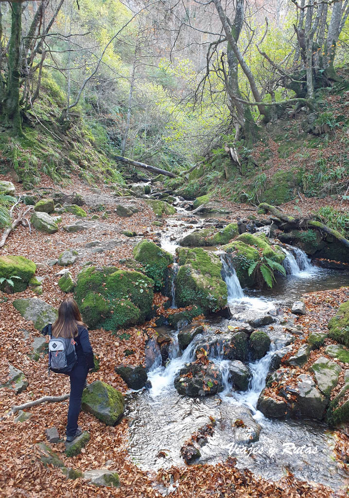 Ruta al Hayedo de Montegrande y la Cascada del Xiblu