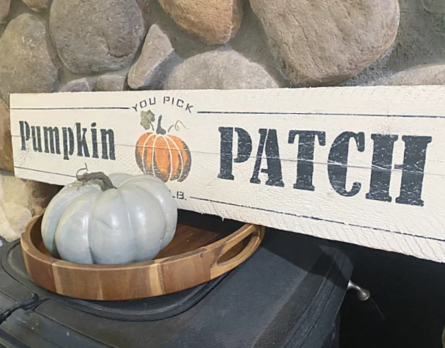 rustic pumpkin patch sign and a pumpkin