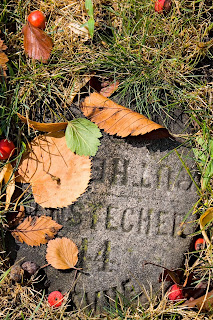 Graceland Cemetery, fall 2013